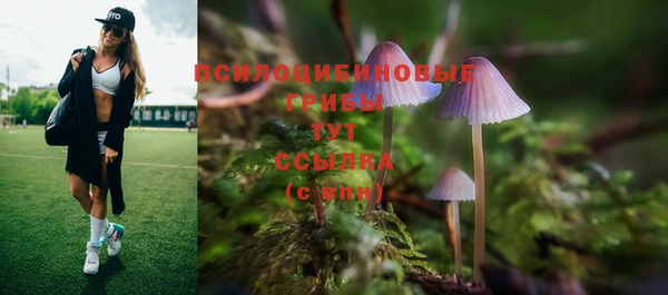 прущие крисы Беломорск