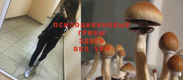МДПВ Белокуриха