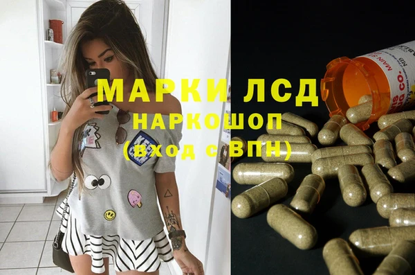 прущие крисы Беломорск