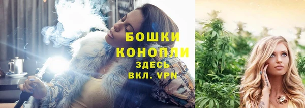 прущие крисы Белоозёрский